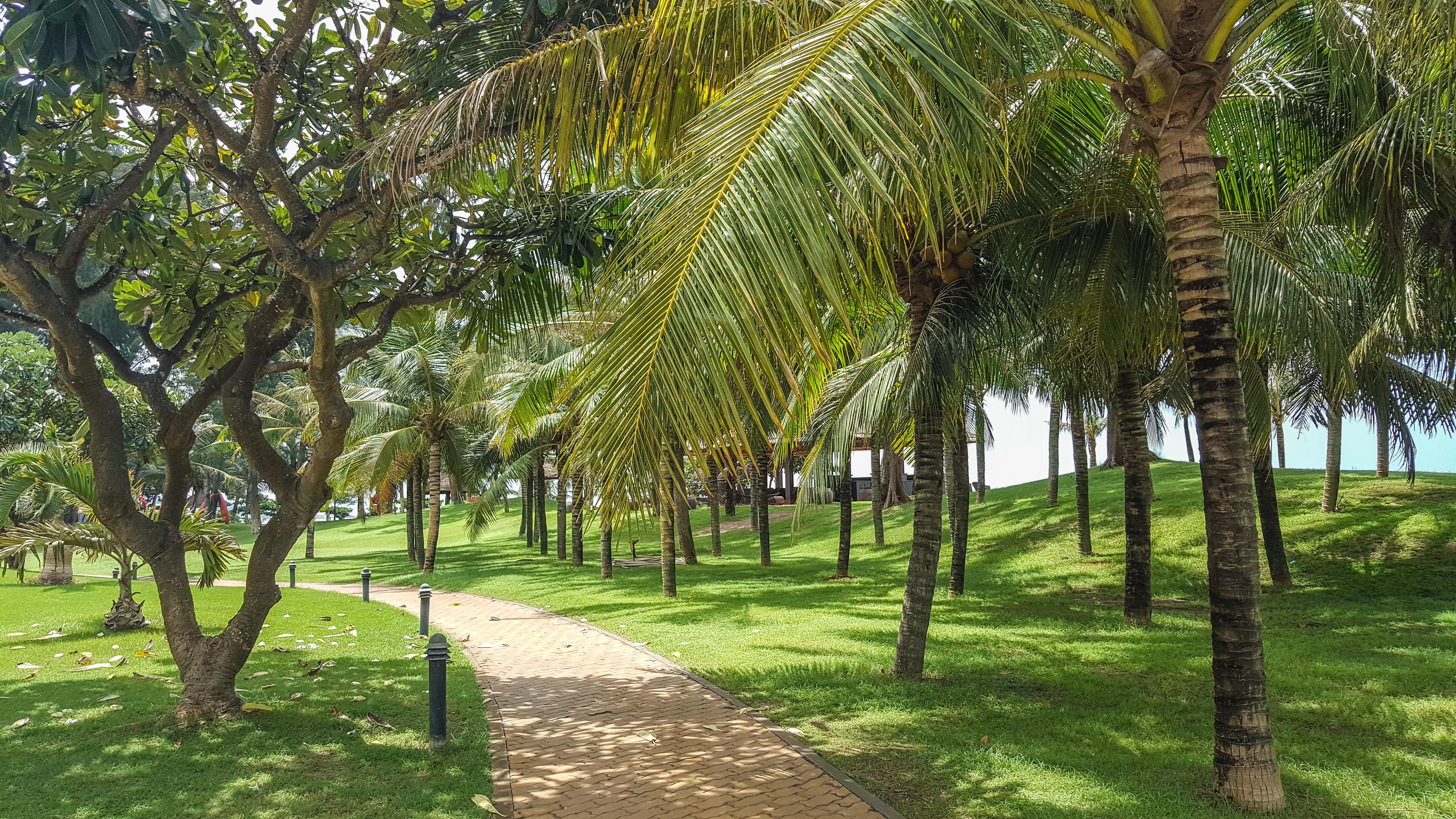 Phan Thiet Ocean Dunes Resort מראה חיצוני תמונה